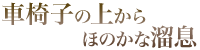 車椅子の上からほのかな溜息